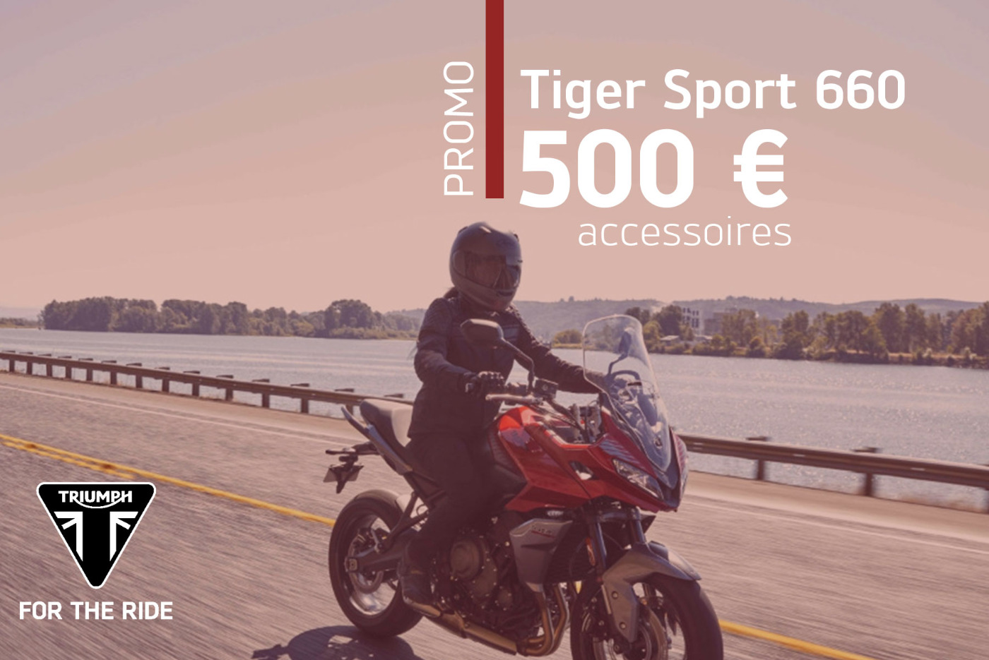 Promotion Tiger Sport 660